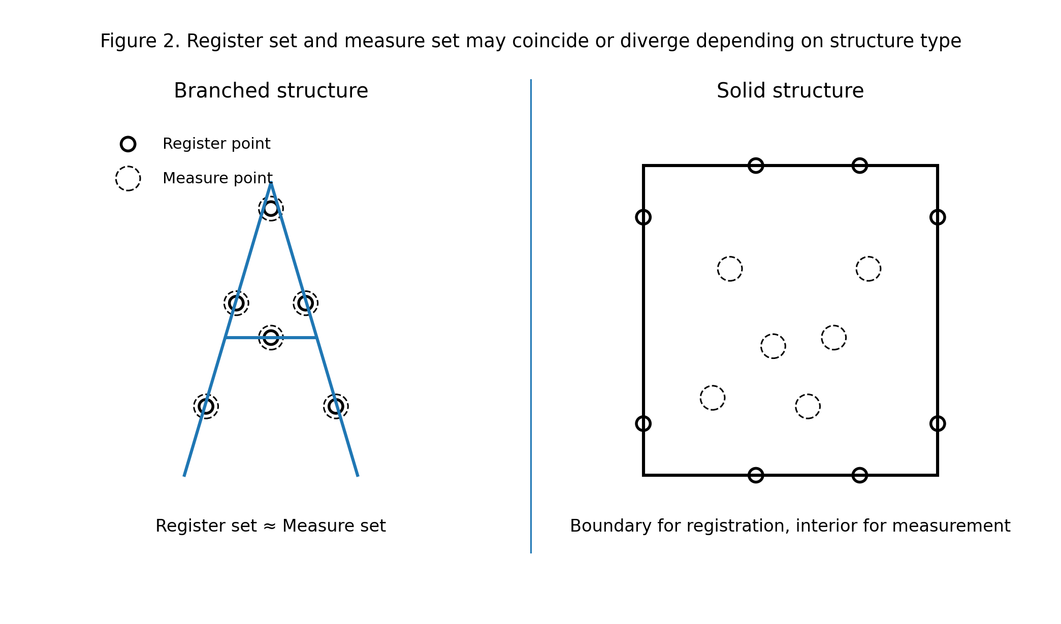 左侧为枝杈结构，注册集与测量集可接近甚至重合；右侧为实心结构，边缘点用于注册，内点用于测量。